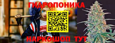 спиды Можга