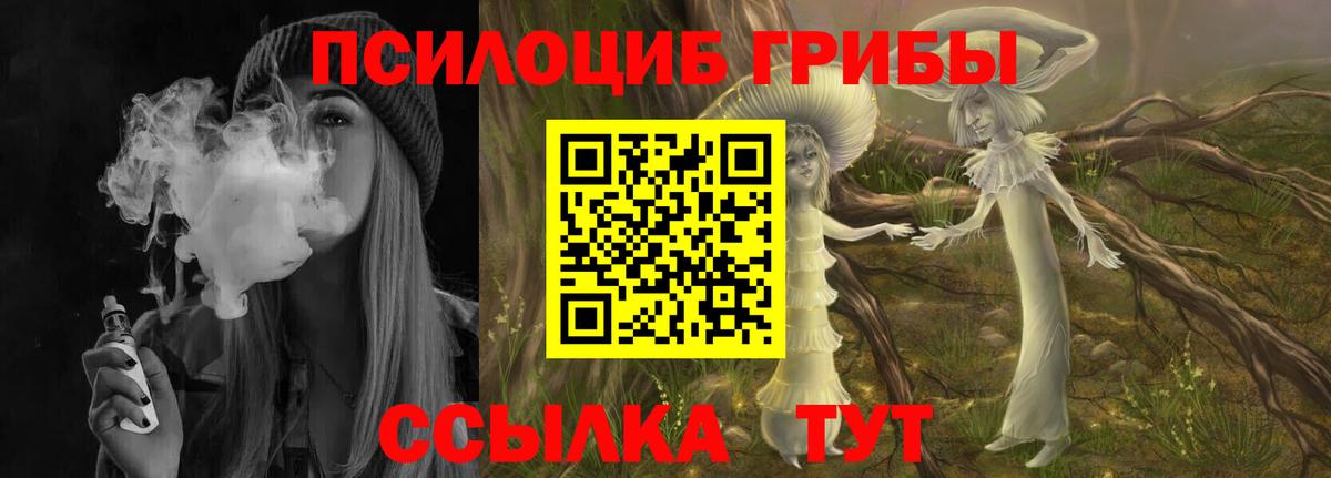 Тамбов  наркотики  Вход с VPN  Псилоцибиновые грибы Cubensis 