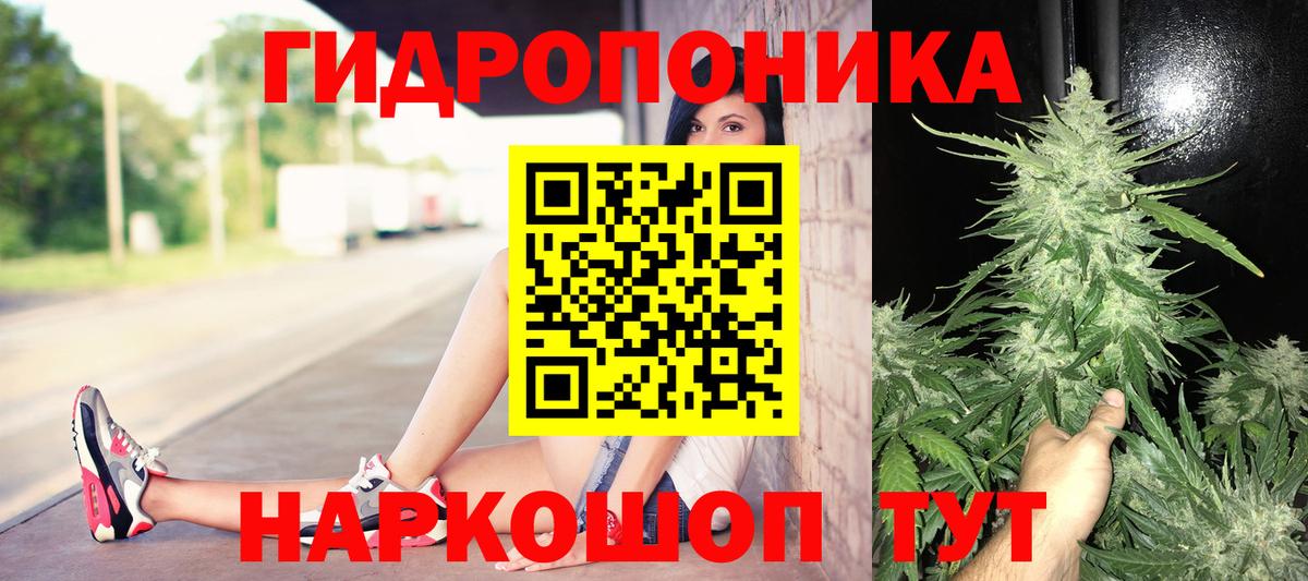 Канабис план Тамбов